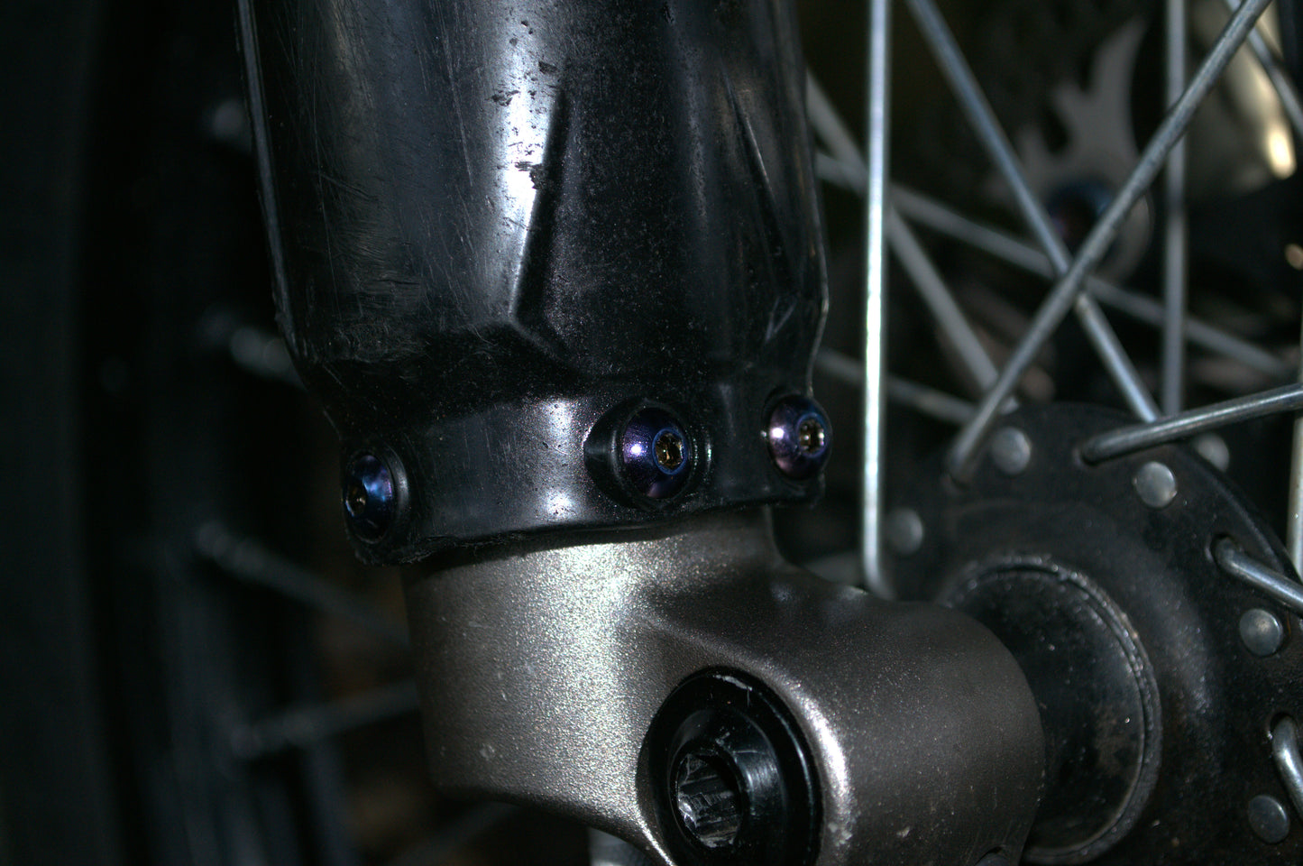 Fork Guard Ti Bolts