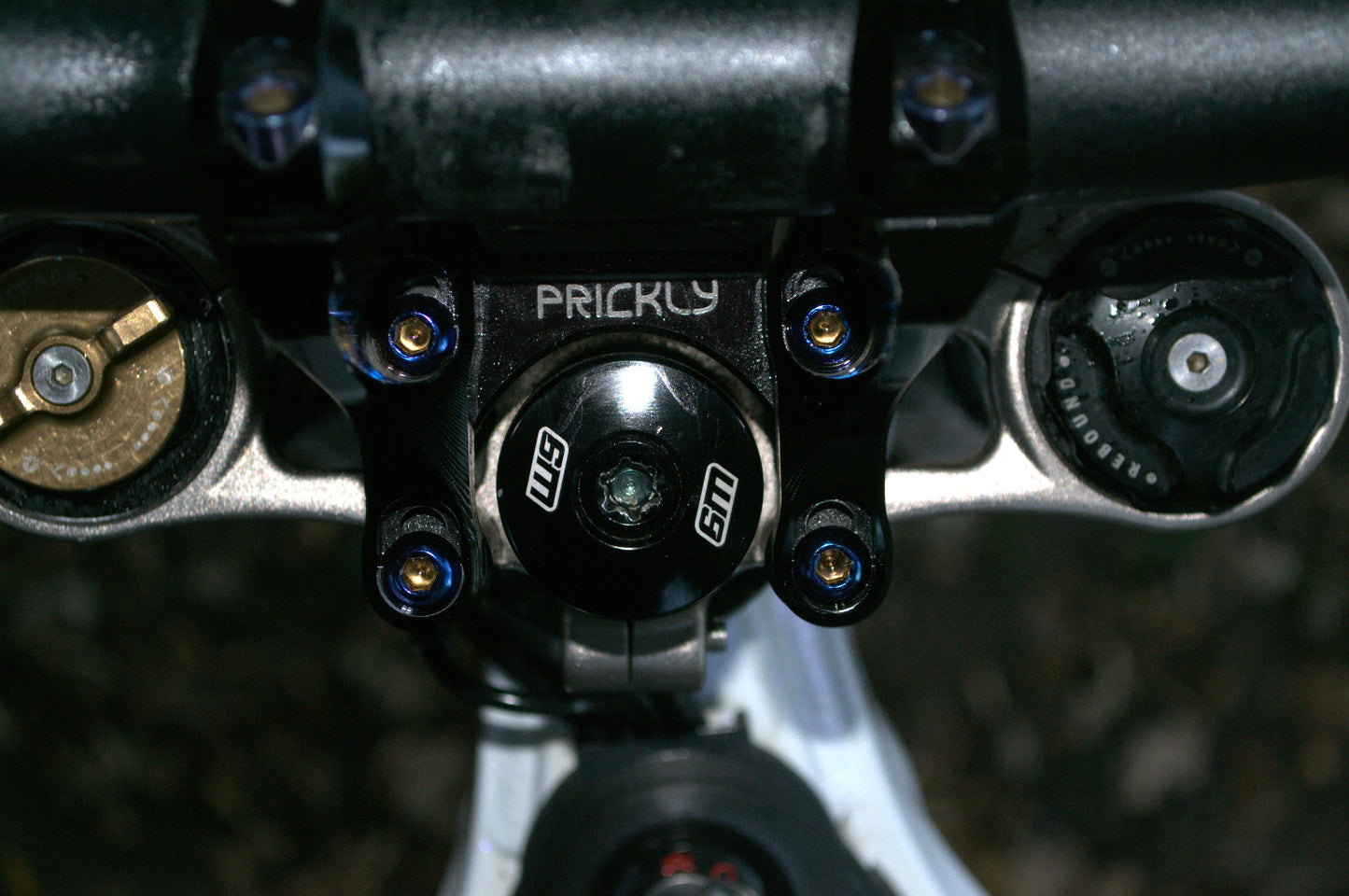 Direct Mount Ti Bolts (ONLY FOR PRICKLY RISER)