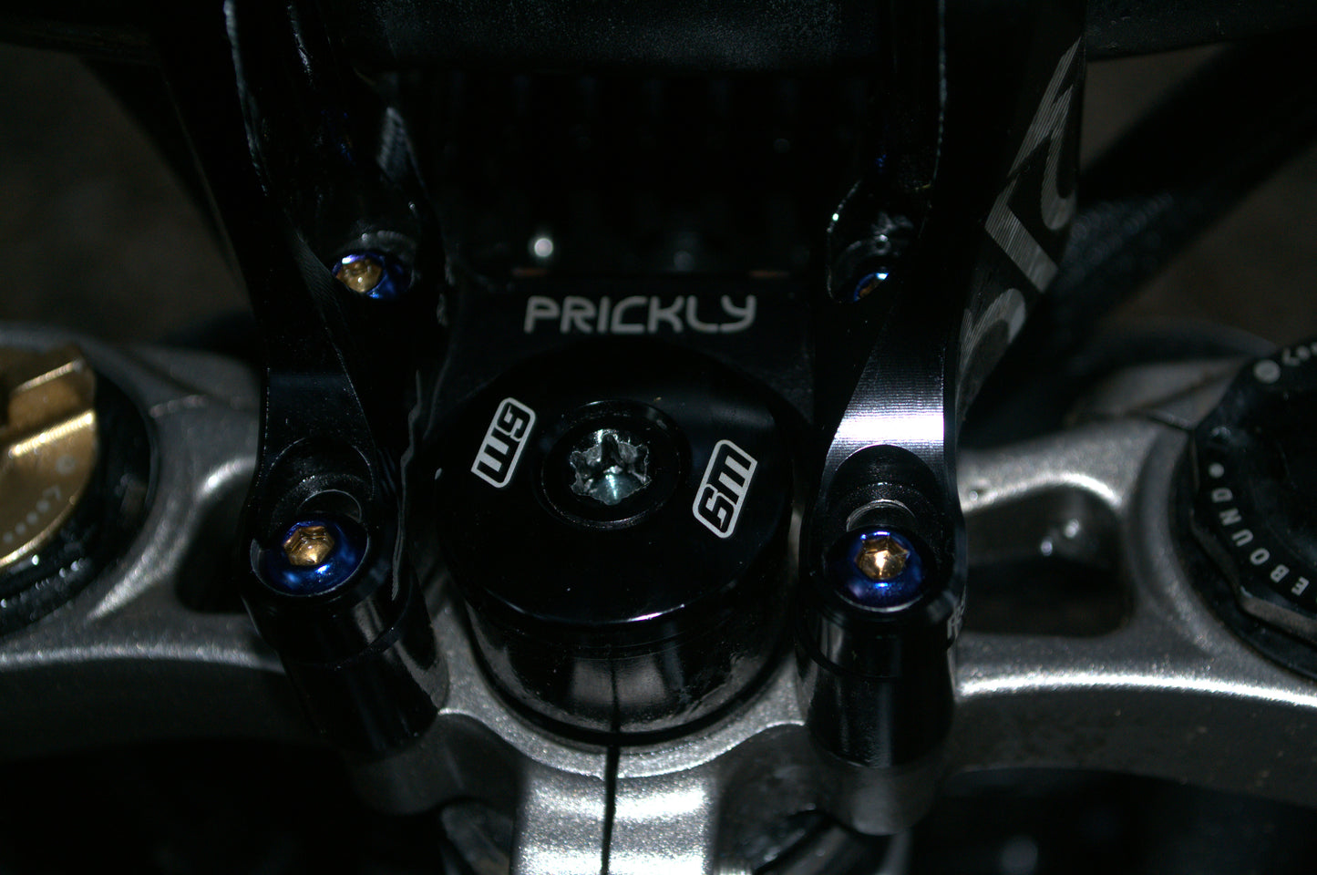 Direct Mount Ti Bolts (ONLY FOR PRICKLY RISER)