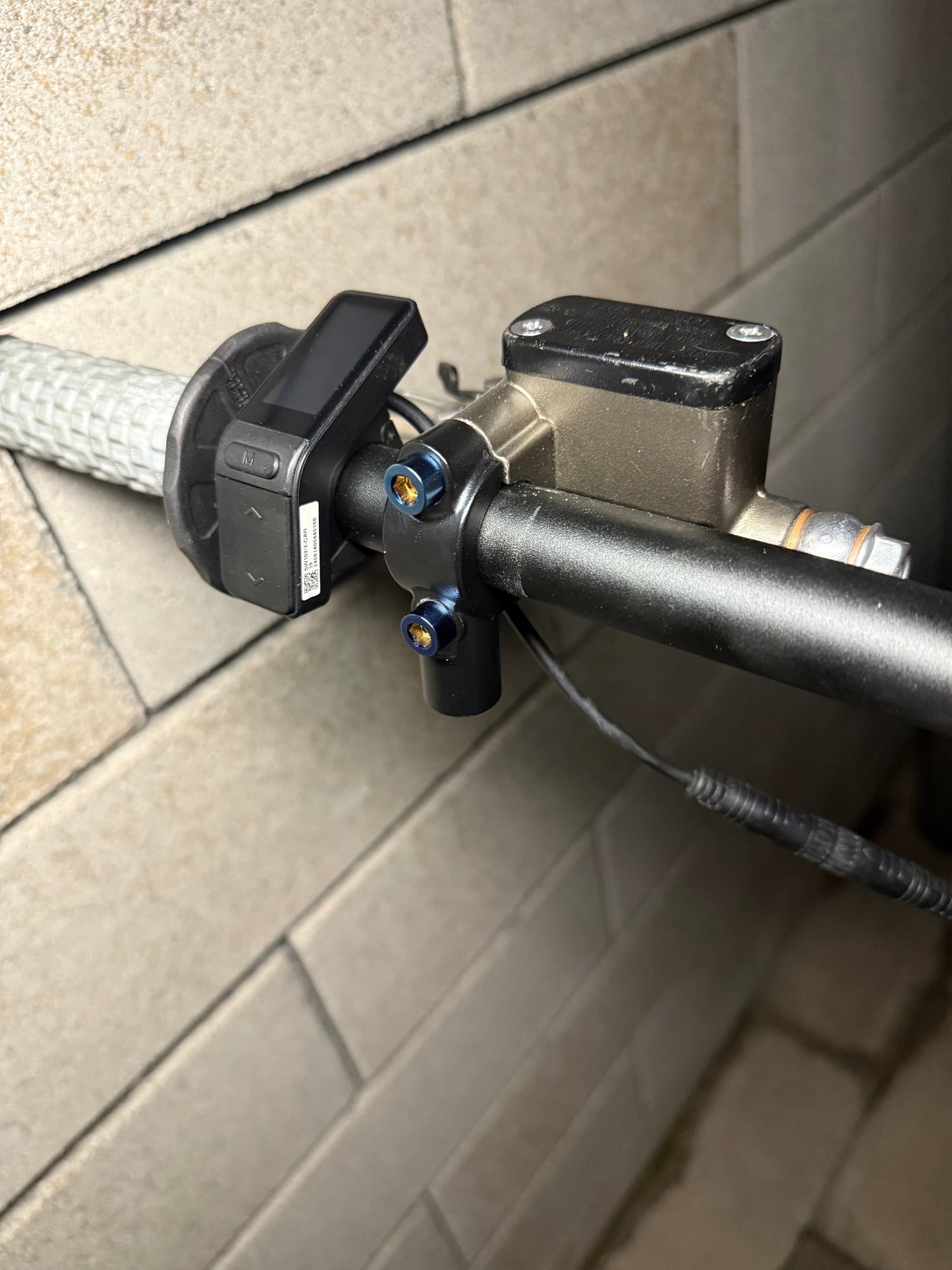 Ultra Bee Brake Mount Titanium Bolts